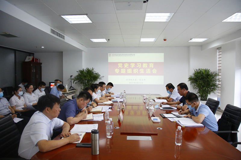陜煤集團黨史學習教育第三巡回指導組到新型能源指導黨史學習教育專題組織生活會