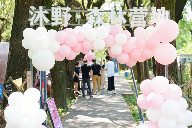 圖片13.png 圖片13.png