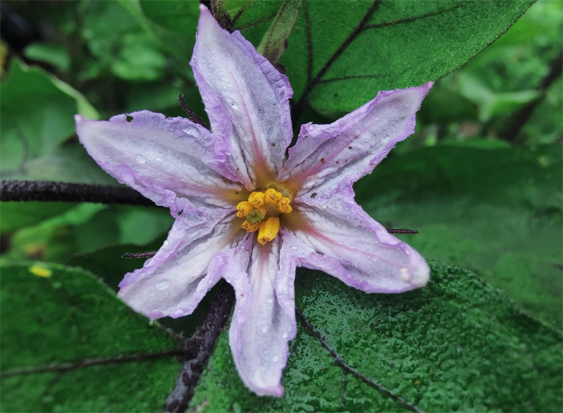 圖片14.png 圖片14.png