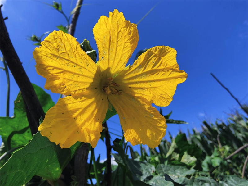 圖片16.png 圖片16.png