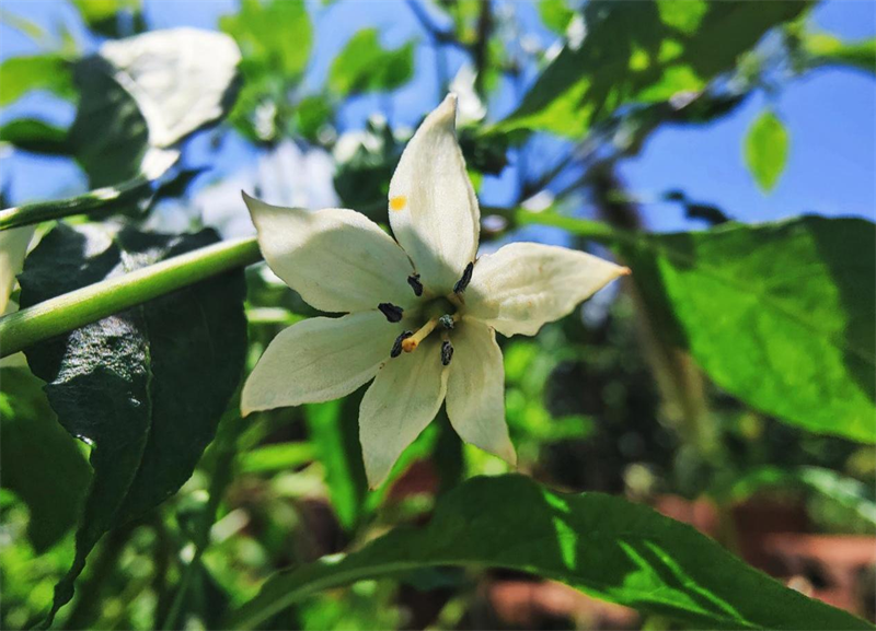 圖片19.png 圖片19.png