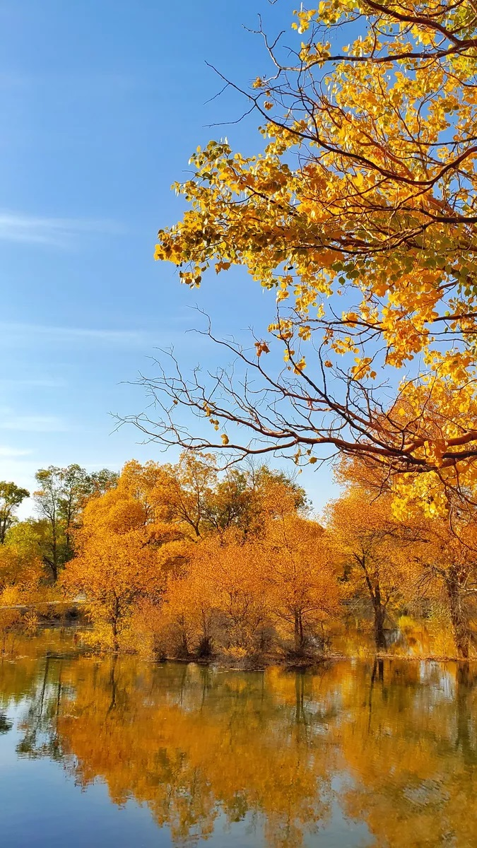 圖片1.png 圖片1.png