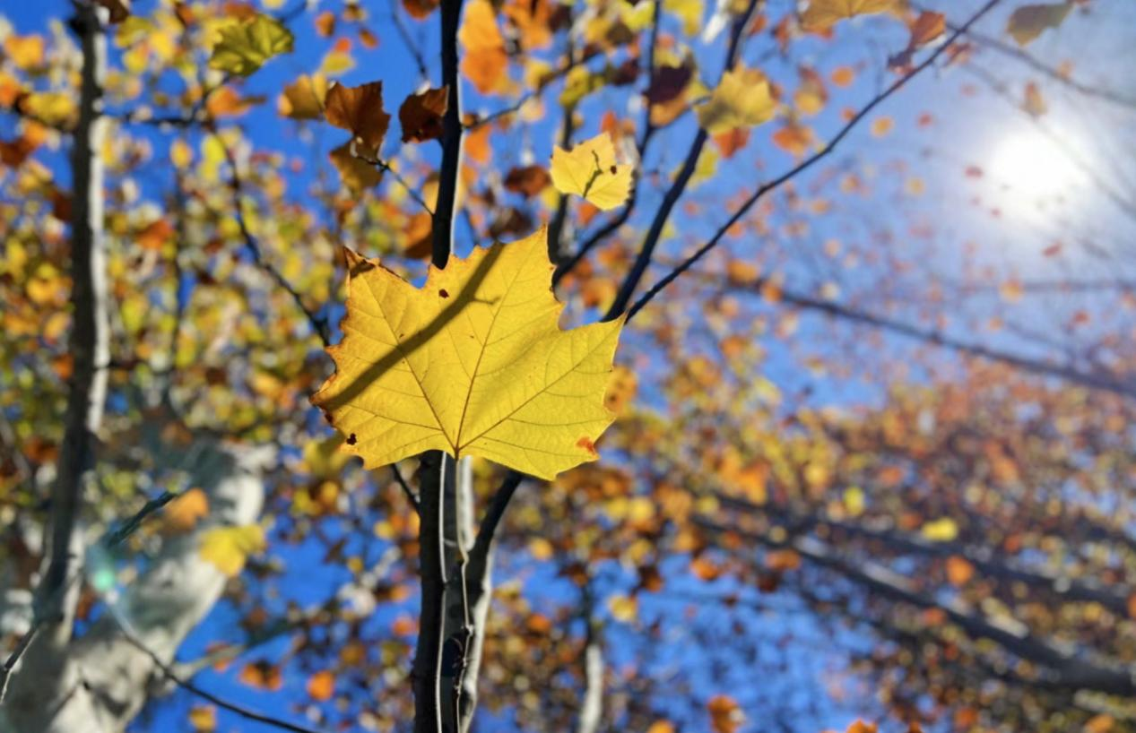 圖片6.png 圖片6.png