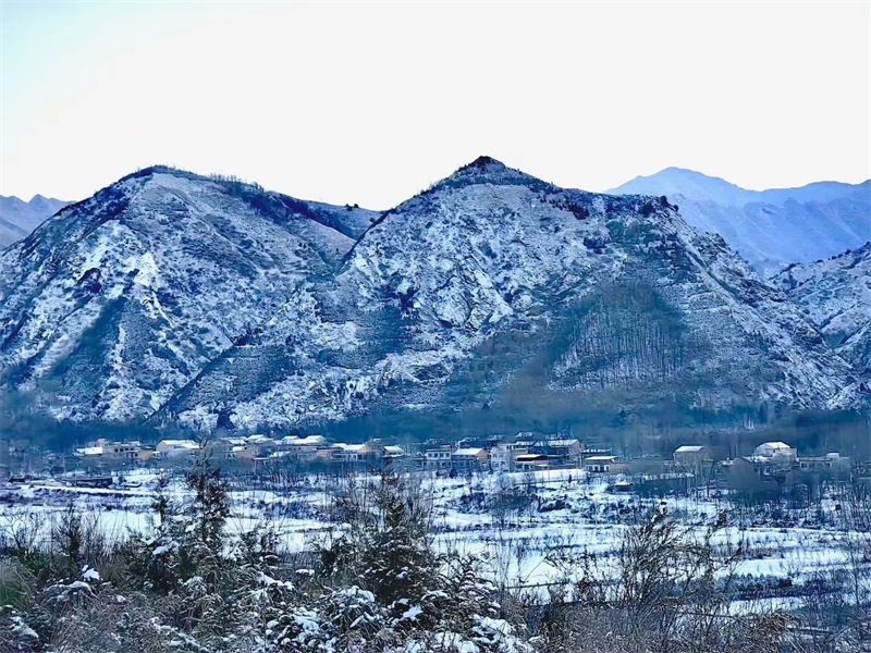 圖片2.png 圖片2.png