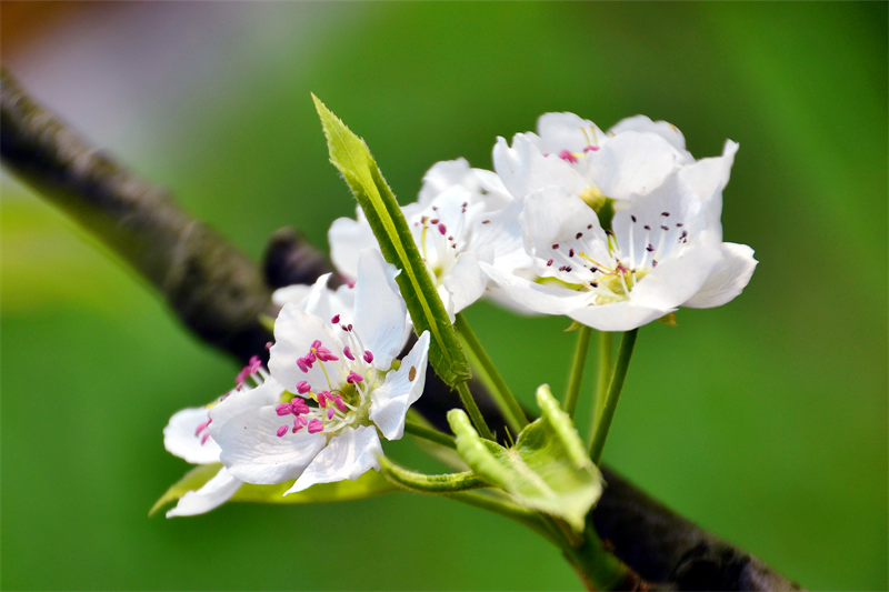 圖片1.png 圖片1.png