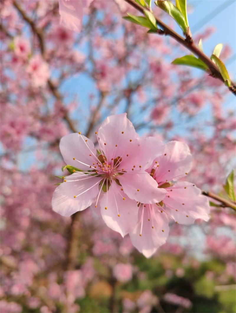 圖片2.png 圖片2.png