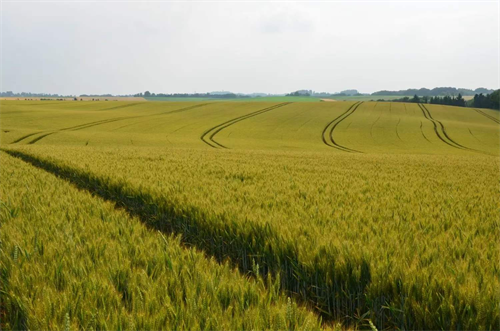 圖片5.png 圖片5.png