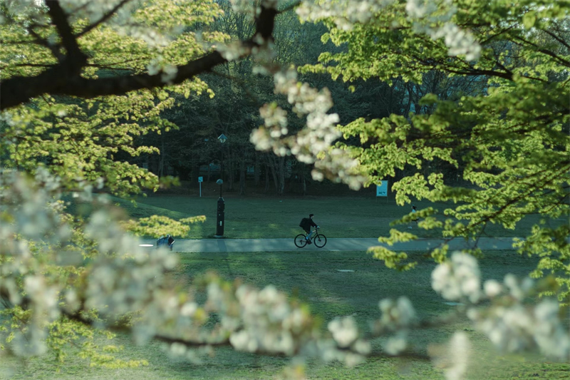 圖片9.png 圖片9.png