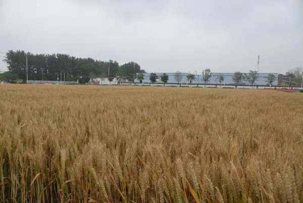 圖片14.png 圖片14.png