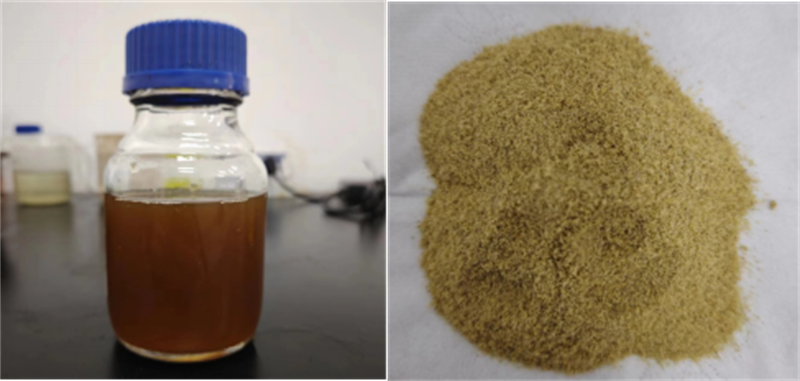 圖片11.png 圖片11.png