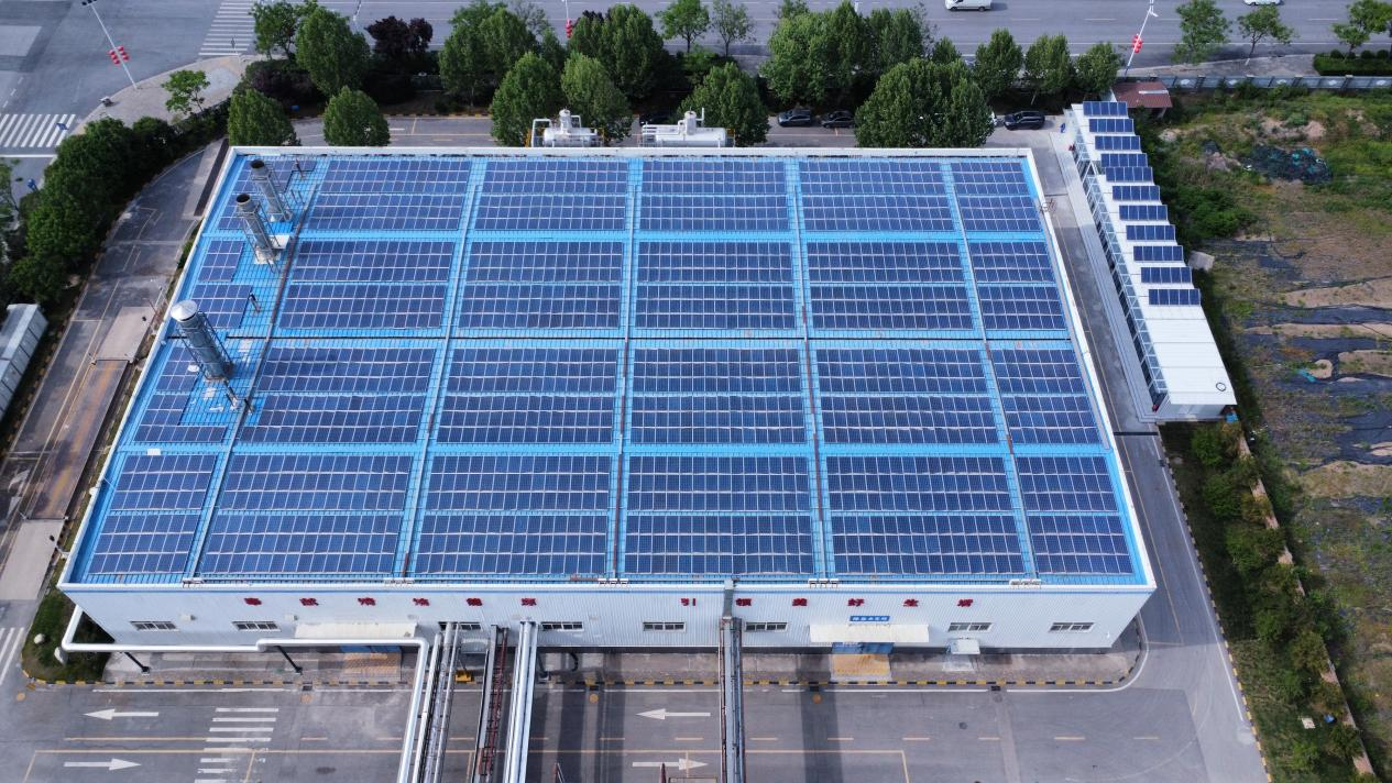 圖片13.png 圖片13.png