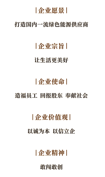 新型能源公司“闖創”企業文化手冊-9.png