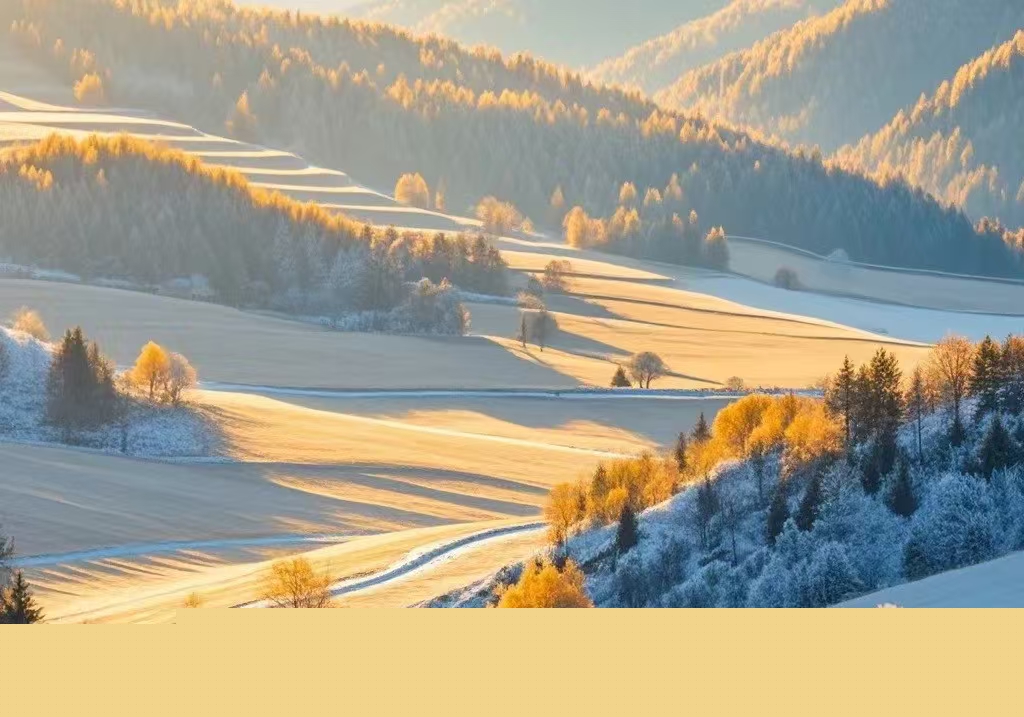 191731977338100056.jpg 微信圖片_20241119084104.jpg