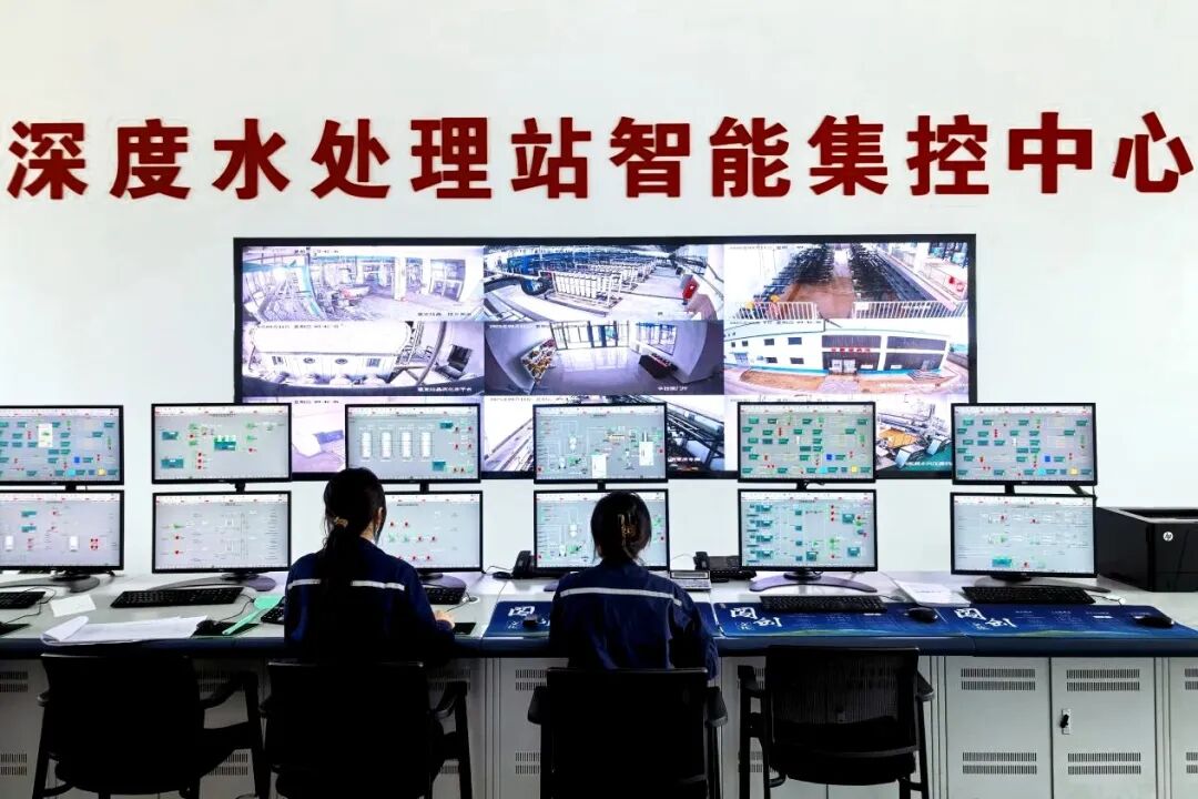 161765845909160770.jpg 神木1.jpg