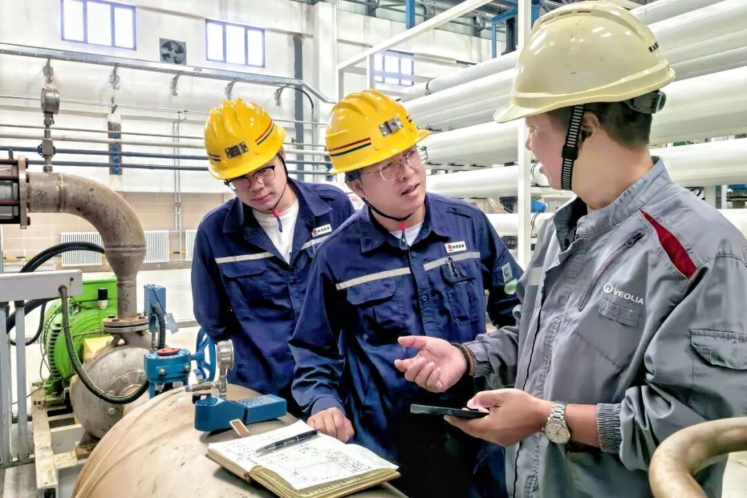 161765845924153377.jpg 神木2.jpg