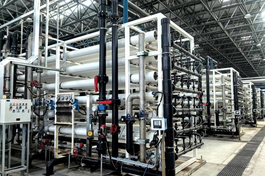 161765845949891445.jpg 神木3.jpg