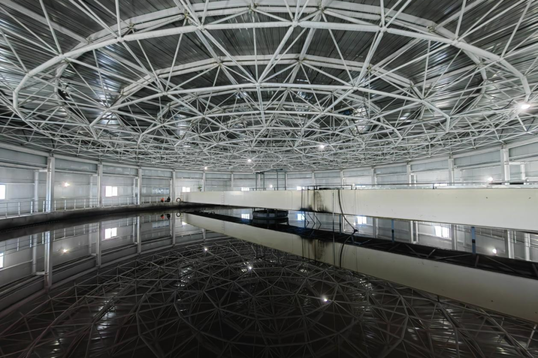 061767661208211563.png 檸條塔3.png